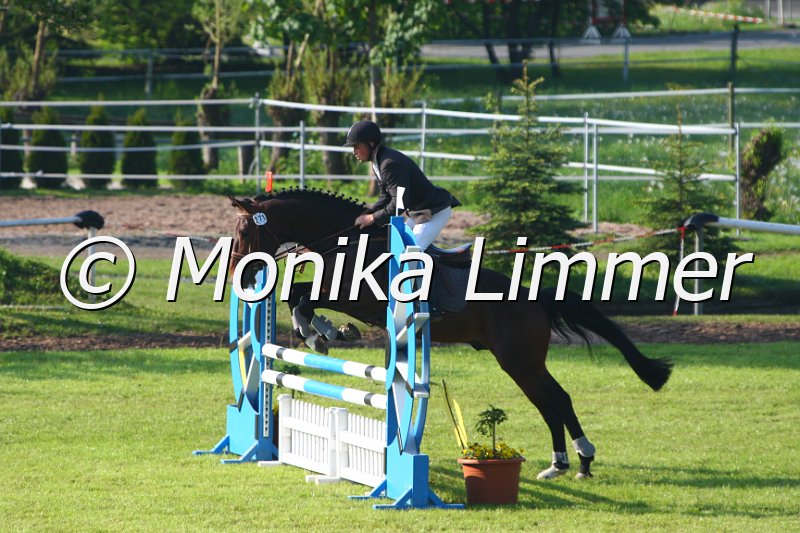 005M3856_Sacipont JV_Springpferde A.JPG